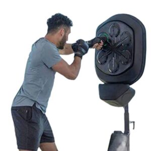 SMZGLANG Boxing Machine with Lights and Music - Electronic Boxing Practice Wall Target Mini Portable Wall-mounted Indoor Fitness Training Boxing Mat One Size