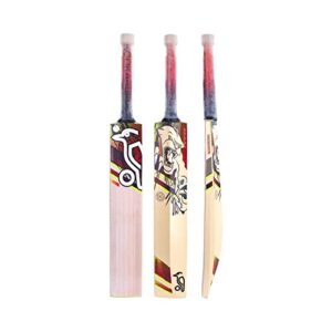 Beast 5.1 Junior cricket Bat - h