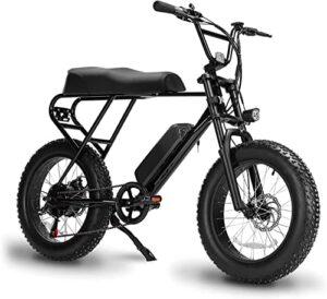 Fat Tire Electric Bike 20x4.0 Inch 48V Electric Mountain Bike Shimano 6-Speed E-Bike 3 Riding Modes