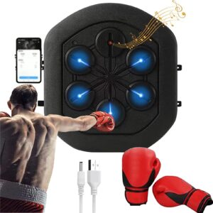 HLSHAO Boxing Machine