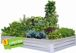 Amazon Brand – Umi Raised Garden Beds Metal Plante