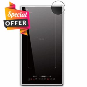 Plug in Induction Hob