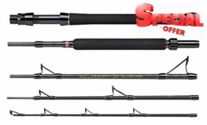 PENN Regiment III Boat Travel Rod - Saltwater Sea Fishing Rod - Portable Multi Piece