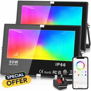 Teselife LED Floodlight Outdoor