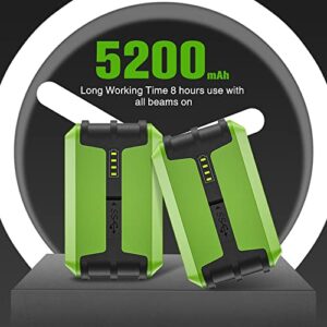 Hard Carry Case - LS03CG