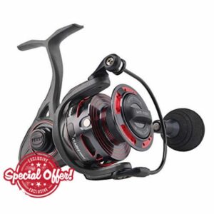 Penn Clash II Spinning Reel - Lightweight Saltwater Shore and Kayak Fishing Reel for Lure Fishing - Sea Fishing Reel for Bass
