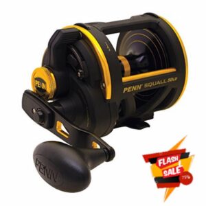 PENN Squall Level Wind Multiplier Fishing Reel for Saltwater Boat or Kayak Fishing