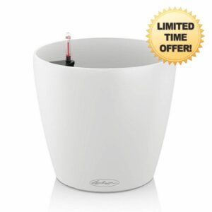 Lechuza CLASSICO Color Self-watering Plante