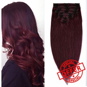 20" Real Hair Clip in Human Hair Extensions Double Weft #99J Wine Red (150g)
