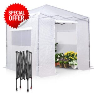 EAGLE PEAK 2.5m x 2.5m Portable Walk-in Greenhouse and Canopy Tent