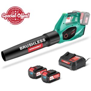 Leaf Blower Cordless