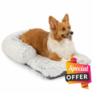 Best Friends by Sheri Nap Mat Dog Bed with Bolster - Washable Dog Bed Crate Pad with Removable Cover