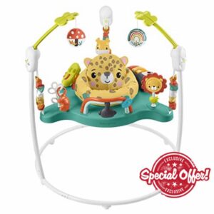 Fisher-Price Jumperoo Baby Activity Center with Lights Sounds and Music