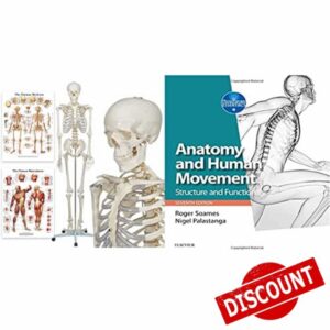 Elementary Anatomy - Buddy the Budget Skeleton - Human Skeleton Model - Life-Size Skeleton 175 cm & Anatomy and Human Movement: Structure and function