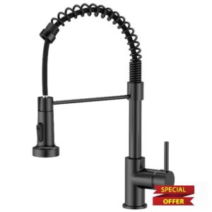 FORIOUS Kitchen Tap