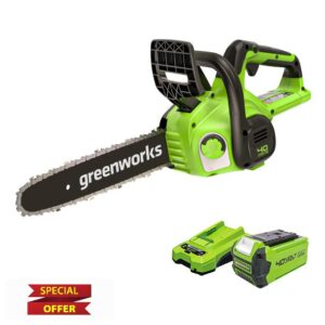 Greenworks G40CS30IIK2 Cordless Chainsaw