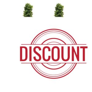 GreenBrokers Artificial Topiary Boxwood Spiral Trees 120cm/4ft (Set of 2)