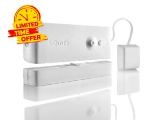 Somfy 2400931 - White Window Opening and Break Sensor - Compatible with Protexiom or Protexial Alarms
