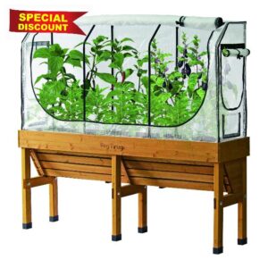 VegTrug Medium WallHugger Greenhouse Frame & Multi Cover Se
