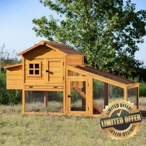 Feel Good Windsor Chicken Coop with Nesting Box and Outdoor Run includes Solid Wooden Roof Galvanised Removable Tray Secure Lockable Door with Perches and Ventilatio