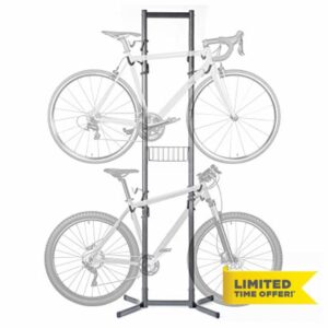 Delta Cycle Michelangelo