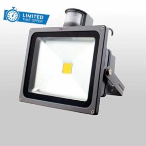 SHAOYH Modern Garden Spotlight LED Floodlight 50W Outdoor Security Lighting Portable Rectangle Tempered Flood Light Courtyard Garden Irradiation Light Waterproof Rainproof (Color : Warm Light)