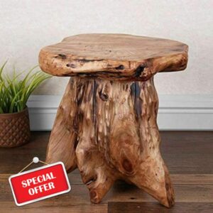 Mydealsaver Solid Teak Root Wood Coffee Table Rustic Charm Weather-Resistant Home Interior Living Room Bedroom Outdoor Garden Furniture Couch Side End Table Lamp Plant Consol Tall Wine Hallway Stool
