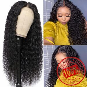Water Wave Lace Front Wigs Human Hair HD Transparent 4x4 Closure Wigs Wet Wavy Curly Lace Closure Human Hair Wigs Brazilian Curly Wigs for Black Women Pre Plucked with Baby Hair 150% Density 26Inch