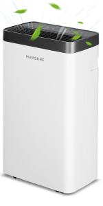 12L/Day Dehumidifier