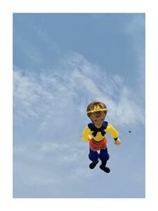 Windsock Kites for Adults