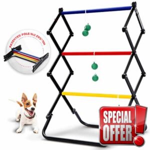 E-jet Ladder Toss Games