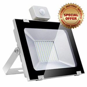 Motion Sensor Light