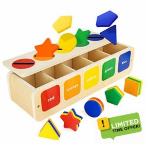 Lynncare Toddlers Montessori Wooden Toy for 1 2 3 Year Old Boys Girls