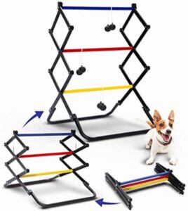 TGU Ladder Toss Games