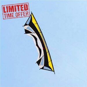 Kites 280cm Large Quad Line Stunt Kites For Adults Bar Line Outdoor Toys Flying Albatross Kites Factory
