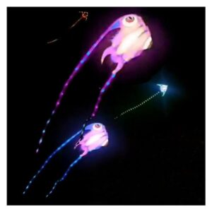 MRXFN kids toys Led Fish Kite Flying Trilobites Factory Kite for Adults Kite String line Windsurfing Outdoor Sport (Color : 16sqm)