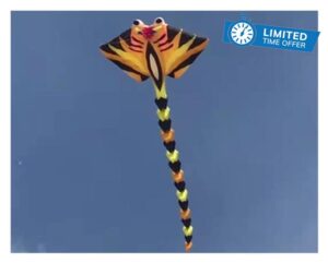 FaNGFaNGFa Giant kite