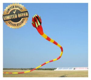 MRXFN kids toys 3D Kites Flying Snake Kites for Adults Kites Inflatable Kite Dragon Flight Kite Windsurfing Professional (Color : Redyellow)