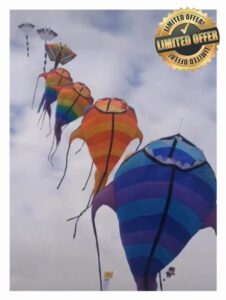 PSVOD Beach Kite Beach Kite Sea Fish Kite