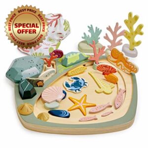 Tender Leaf Toys My Little Rock Pool - Wooden Open Ended Montissori Sorting Tray For Kids