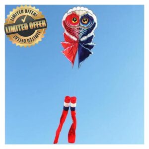 MRXFN kids toys Fish Kite Flying Soft Kite for Adults Inflatable Kites windsocks Kite (Color : 2pcs)