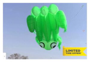 ESBANT Beach Kite 3D Kite Green Frog Soft Kite