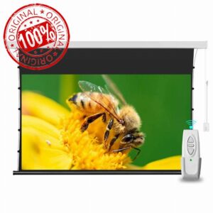 Motorized Projector Screen
