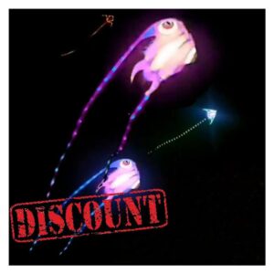 kite Led Fish Kite