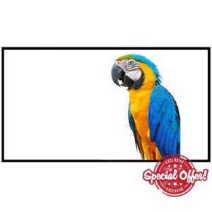 Projector Screen 72 Inch Projector Screen 16:9 HD Portable Movie Theater Foldable for Home Theater Cinema Easy Installation Portable Projector Screen (Color : White