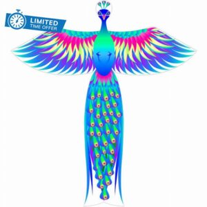 Kites for Adults Giant Chinese Style Gorgeous Colorful Flying Peacock Kite Outdoor Beach Large Bird Aerial Toys (Size : 5.2ft+853ft line) (5.2ft+328ft line)