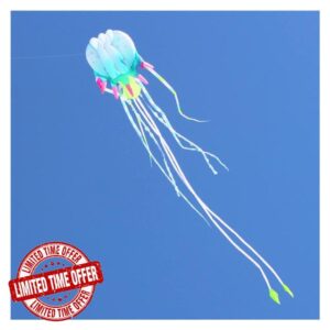 ISITAC Kites 18m jellyfish kite flying inflatable kite windsocks huge kite wheel for adults outdoor game trilobites kites pipa