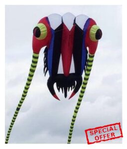 PSVOD Giant Kite