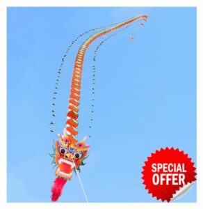 kite Traditional Dragon Kite