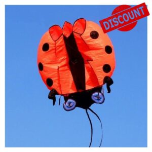 kite Beach Kite Soft 3D Kite